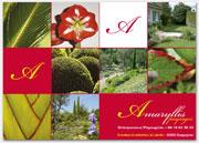 http://www.agoraline.fr/docs/vitrines/amaryllis_paysages.jpg