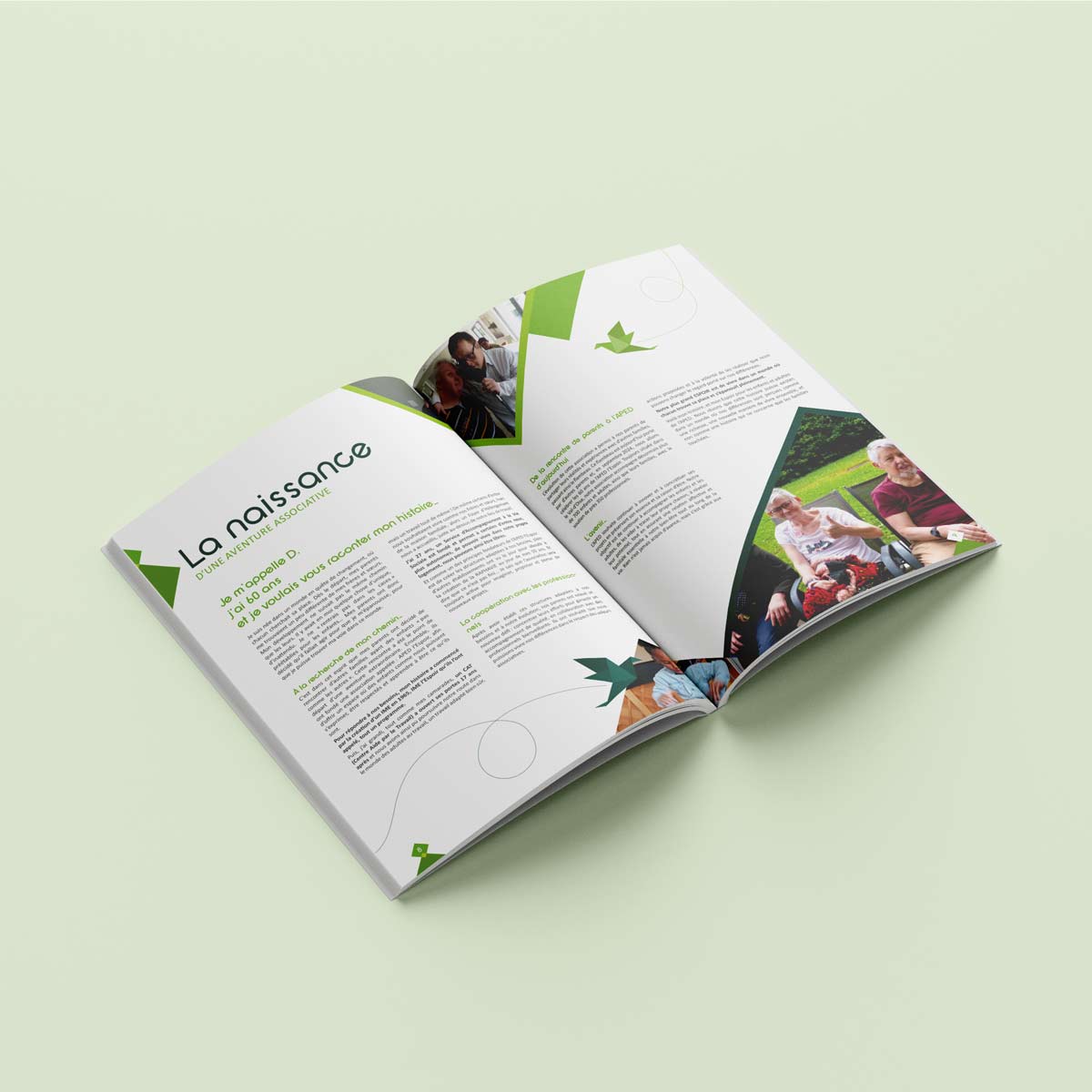 Agoraline : votre agence de communication print pour la création de catalogues et brochures