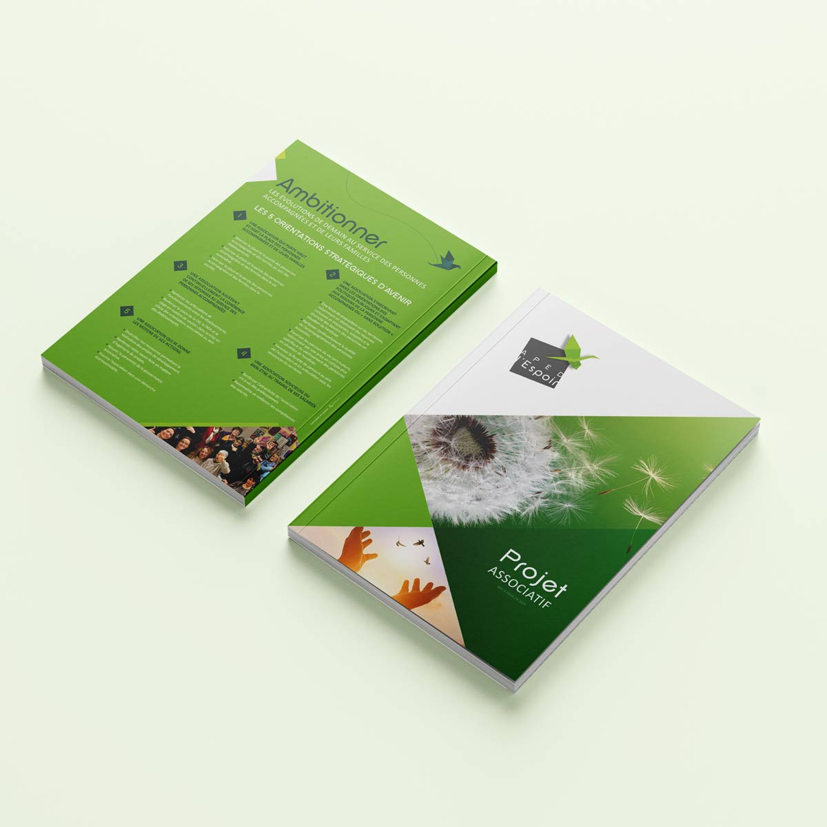 Agoraline : votre agence de communication print pour la création de catalogues et brochures