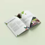 aped-espoir-realisation-brochure-1