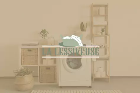 Refonte logo La lessiveuse